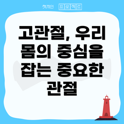 고관절, 우리 몸의 중심을 잡는 중요한 관절