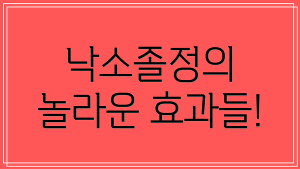 낙소졸정의 놀라운 효과들!