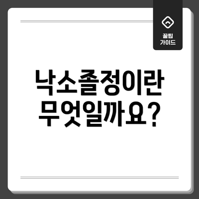 낙소졸정이란 무엇일까요?