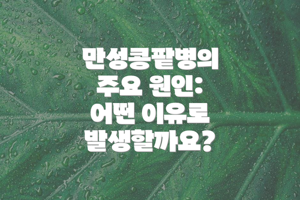 만성콩팥병의 주요 원인: 어떤 이유로 발생할까요?
