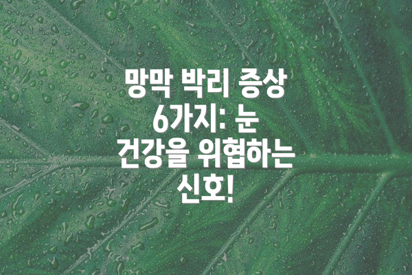 망막 박리 증상 6가지: 눈 건강을 위협하는 신호!