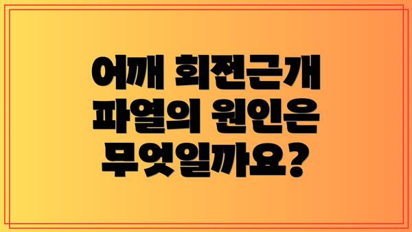 어깨 회전근개 파열의 원인은 무엇일까요?