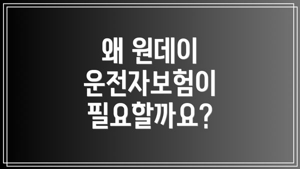 왜 원데이 운전자보험이 필요할까요?