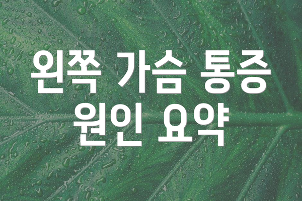 왼쪽 가슴 통증 원인 요약