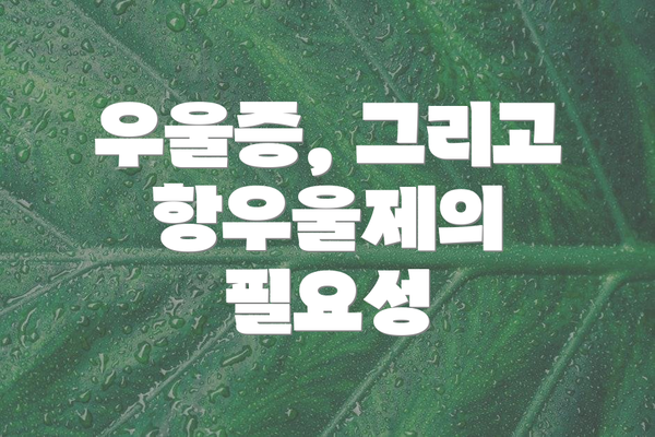 우울증, 그리고 항우울제의 필요성