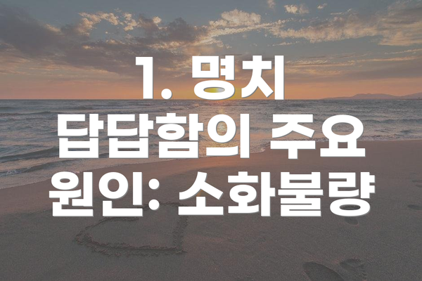 1. 명치 답답함의 주요 원인: 소화불량