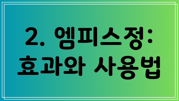 2. 엠피스정: 효과와 사용법