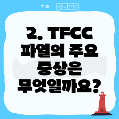 2. TFCC 파열의 주요 증상은 무엇일까요?