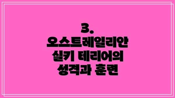 3. 오스트레일리안 실키 테리어의 성격과 훈련