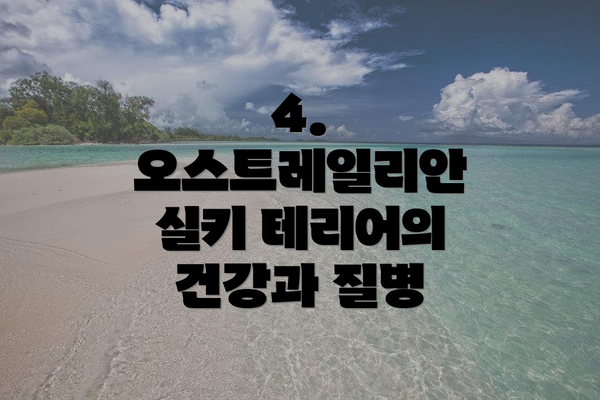 4. 오스트레일리안 실키 테리어의 건강과 질병