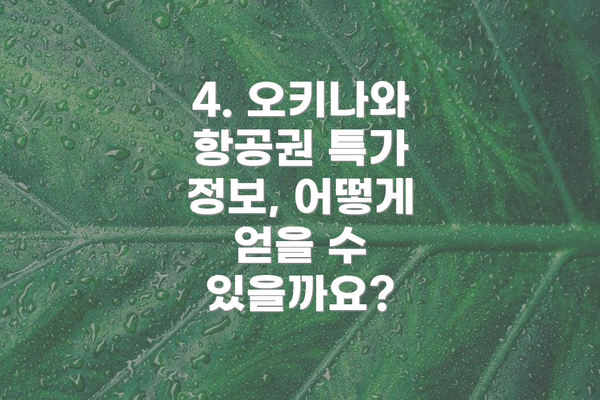 4. 오키나와 항공권 특가 정보, 어떻게 얻을 수 있을까요?