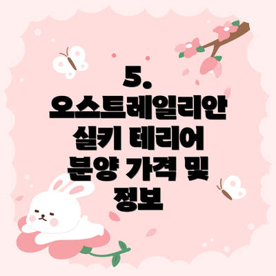 5. 오스트레일리안 실키 테리어 분양 가격 및 정보