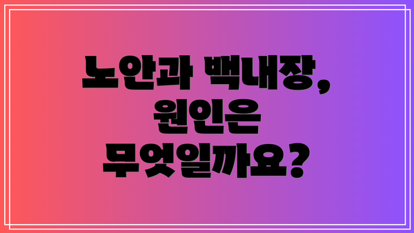 노안과 백내장, 원인은 무엇일까요?