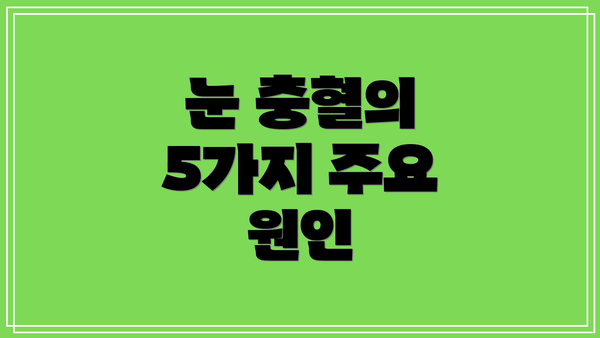 눈 충혈의 5가지 주요 원인
