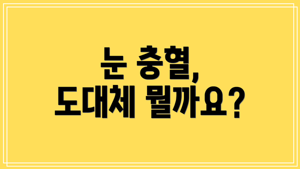 눈 충혈, 도대체 뭘까요?