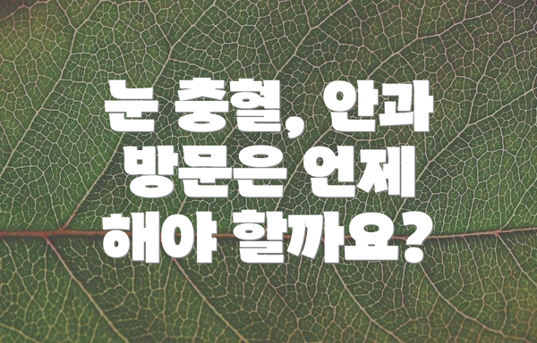눈 충혈, 안과 방문은 언제 해야 할까요?