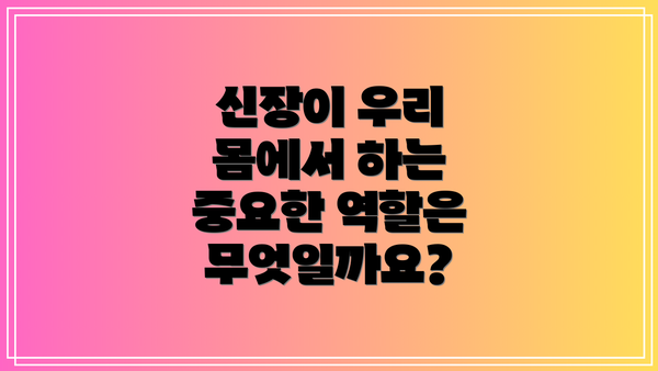 신장이 우리 몸에서 하는 중요한 역할은 무엇일까요?