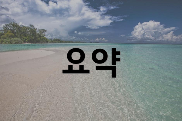 요약