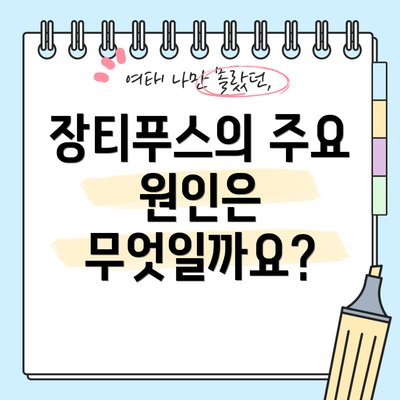 장티푸스의 주요 원인은 무엇일까요?