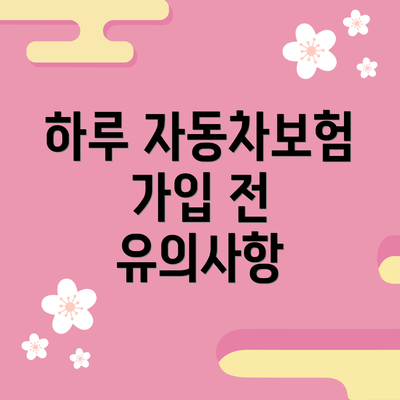 하루 자동차보험 가입 전 유의사항