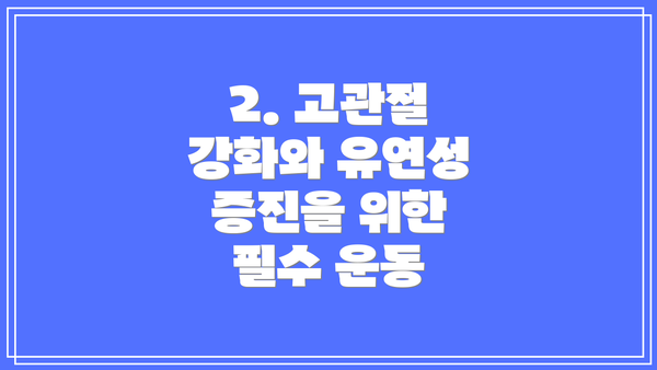 2. 고관절 강화와 유연성 증진을 위한 필수 운동