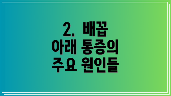 2.  배꼽 아래 통증의 주요 원인들