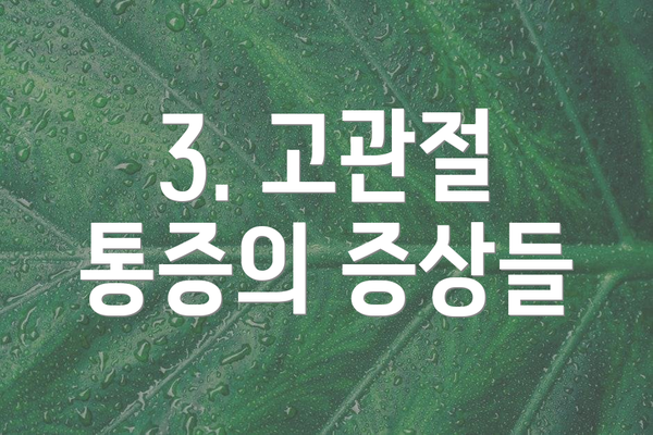 3. 고관절 통증의 증상들