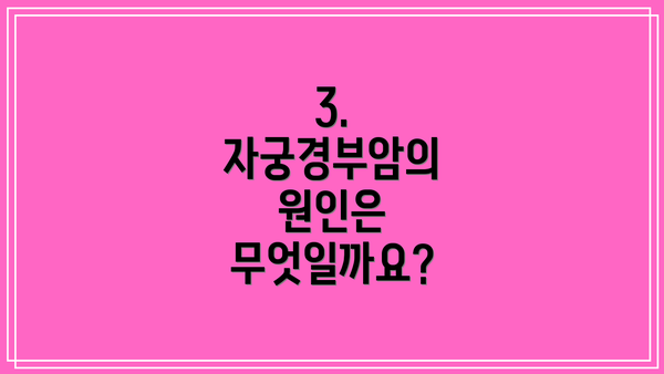 3. 자궁경부암의 원인은 무엇일까요?