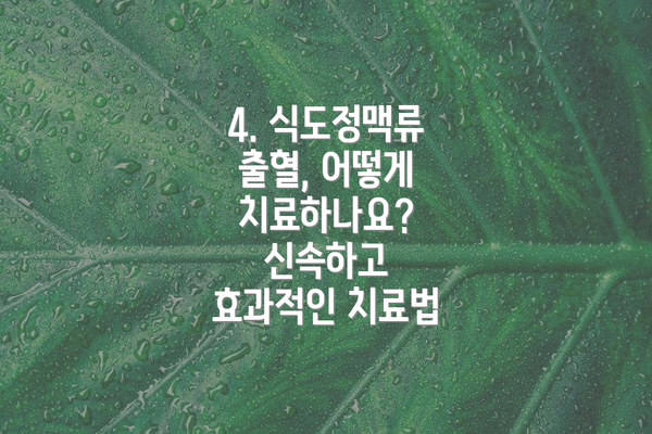 4. 식도정맥류 출혈, 어떻게 치료하나요? 신속하고 효과적인 치료법