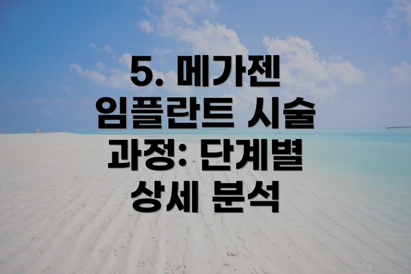 5. 메가젠 임플란트 시술 과정: 단계별 상세 분석