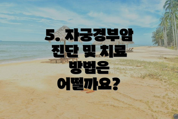 5. 자궁경부암 진단 및 치료 방법은 어떨까요?