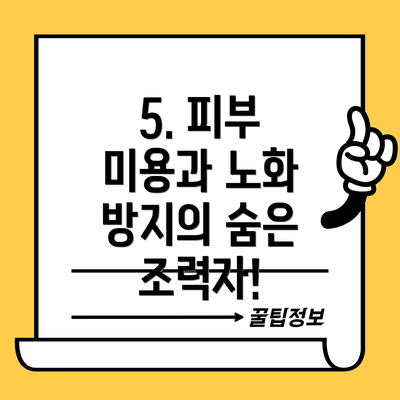 5. 피부 미용과 노화 방지의 숨은 조력자!