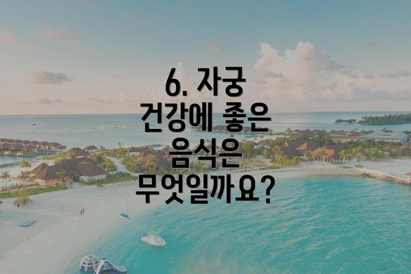 6. 자궁 건강에 좋은 음식은 무엇일까요?
