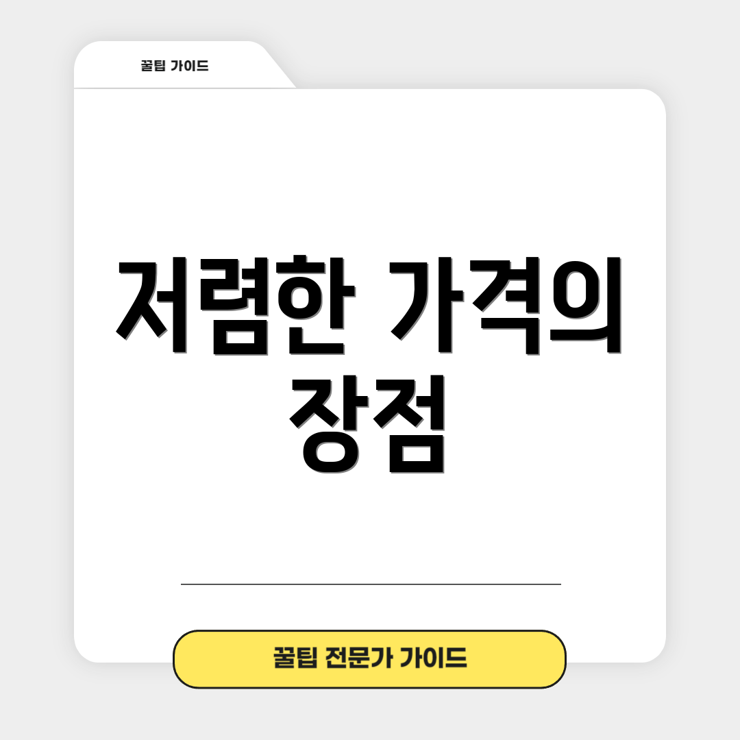 저렴한 가격의 장점