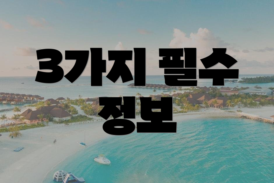 3가지 필수 정보