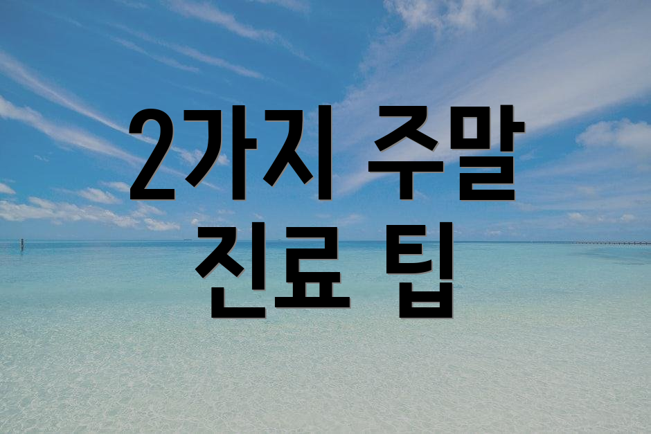 2가지 주말 진료 팁