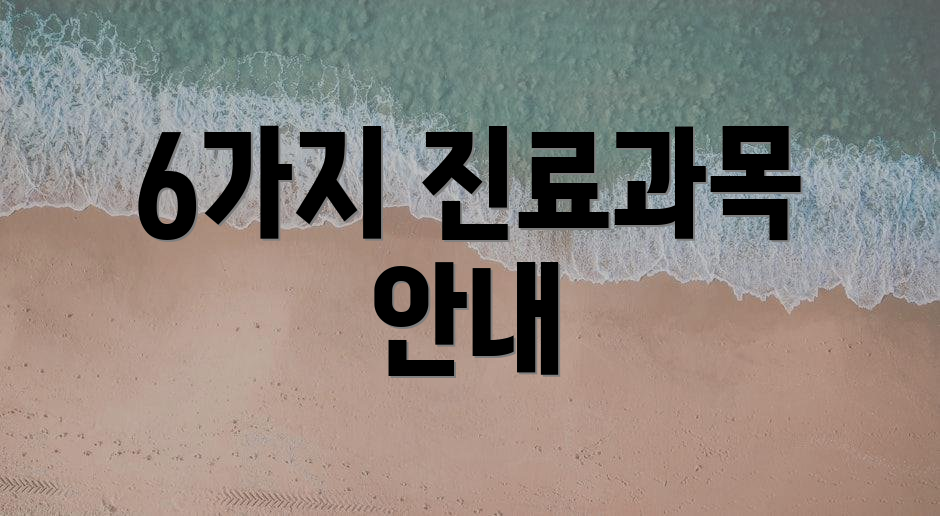 6가지 진료과목 안내