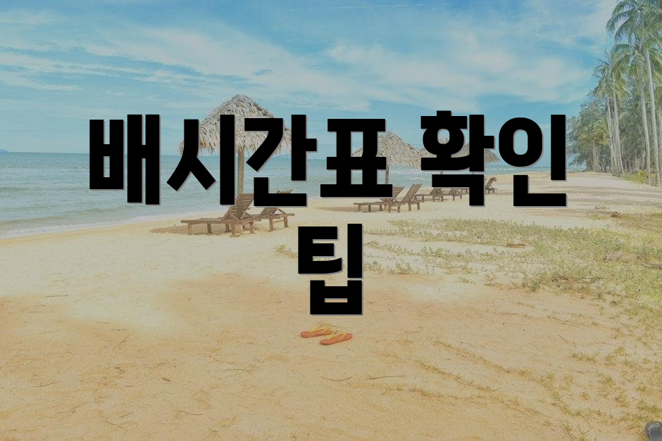 배시간표 확인 팁