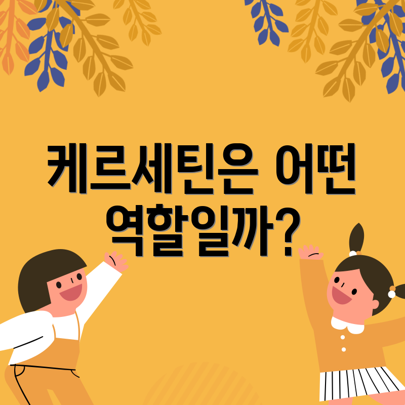 케르세틴은 어떤 역할일까?