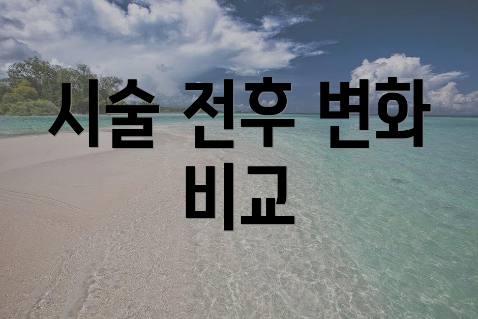 시술 전후 변화 비교