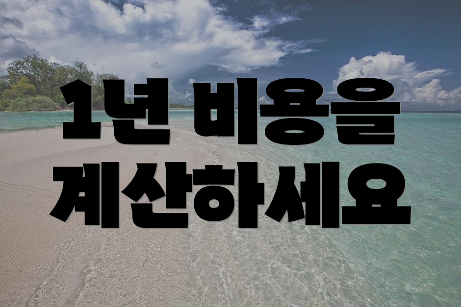 1년 비용을 계산하세요