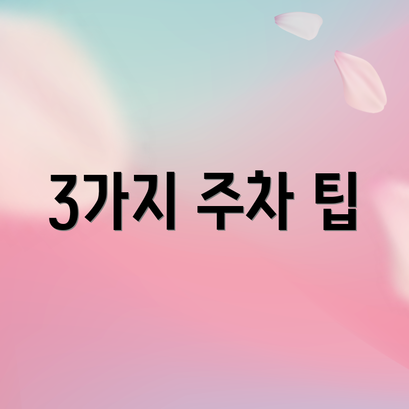 3가지 주차 팁