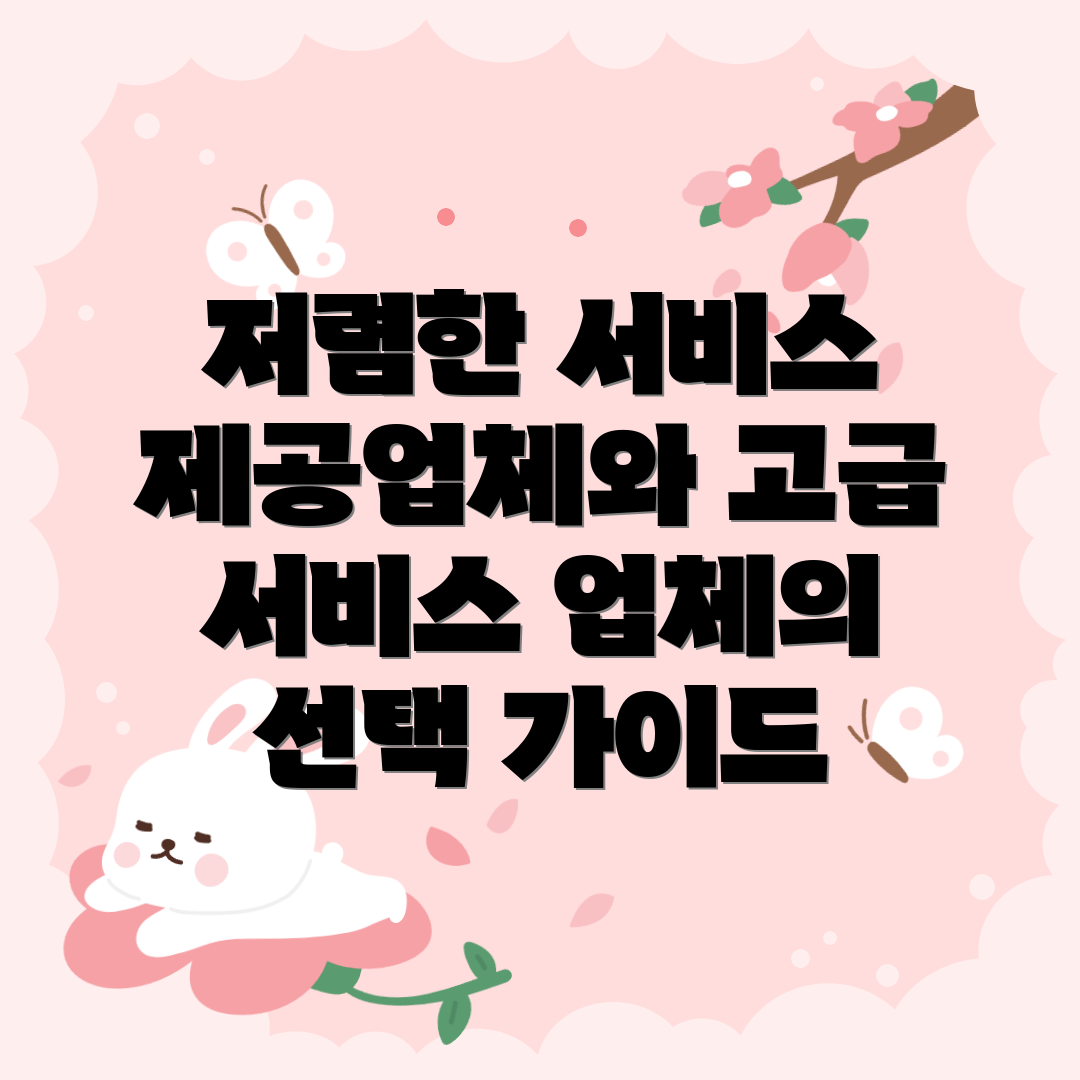 저렴한 서비스 제공업체와 고급 서비스 업체의 선택 가이드