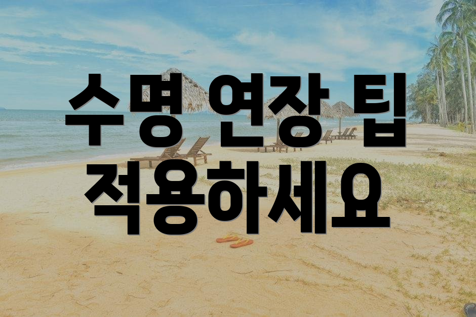 수명 연장 팁 적용하세요