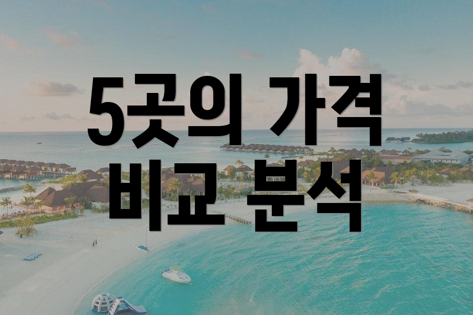 5곳의 가격 비교 분석