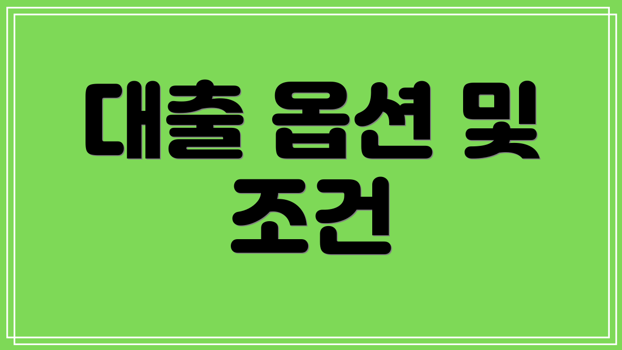 대출 옵션 및 조건