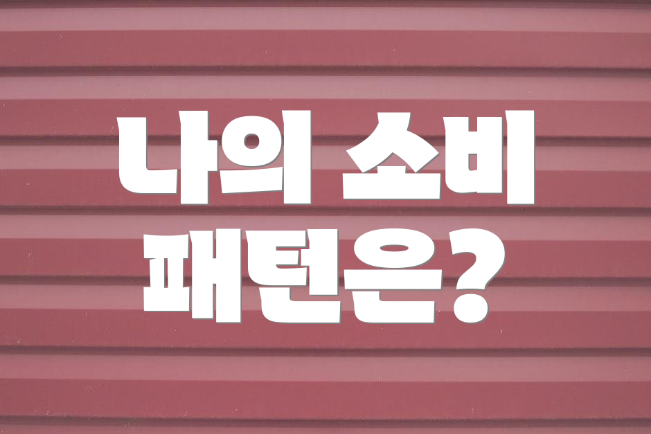 나의 소비 패턴은?