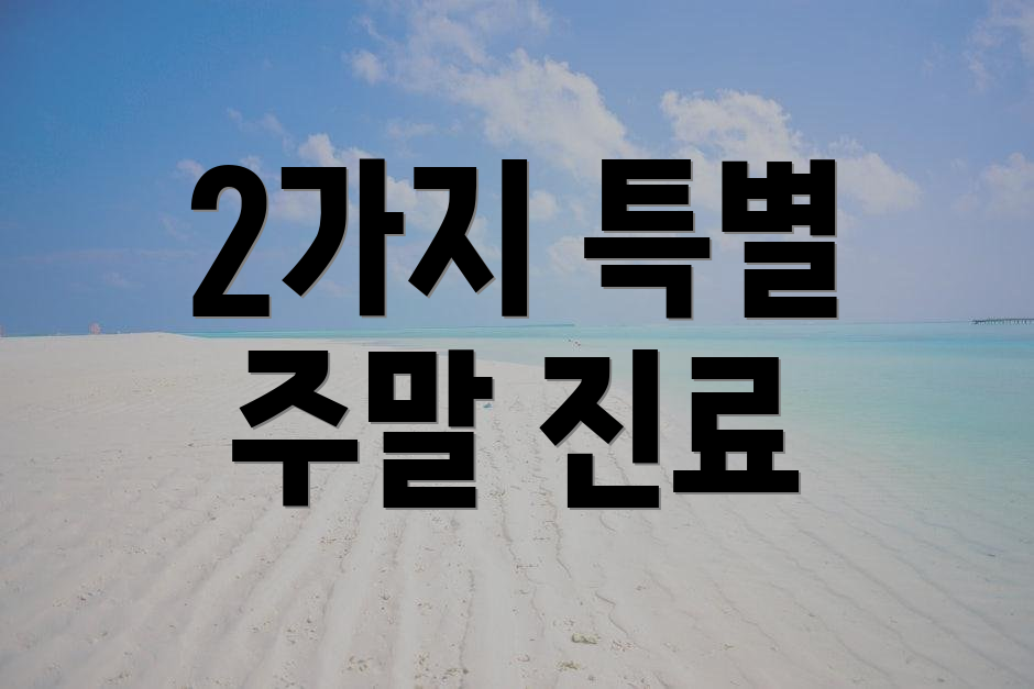 2가지 특별 주말 진료