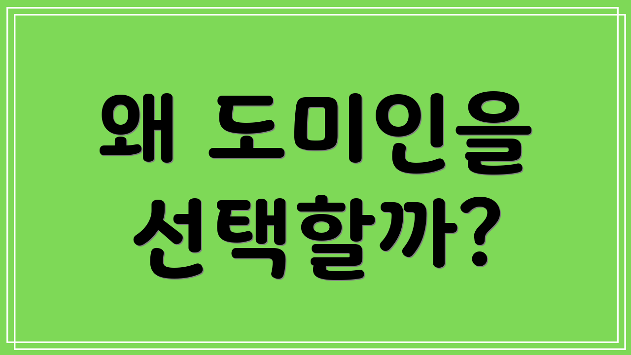 왜 도미인을 선택할까?