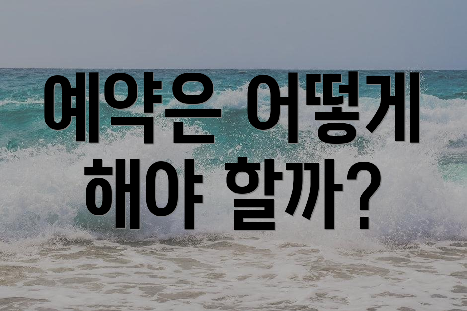 예약은 어떻게 해야 할까?